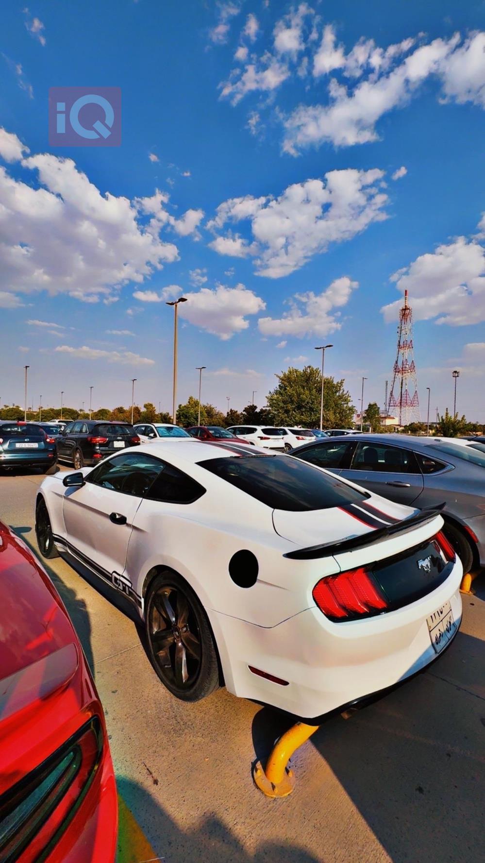 فورد موستانج